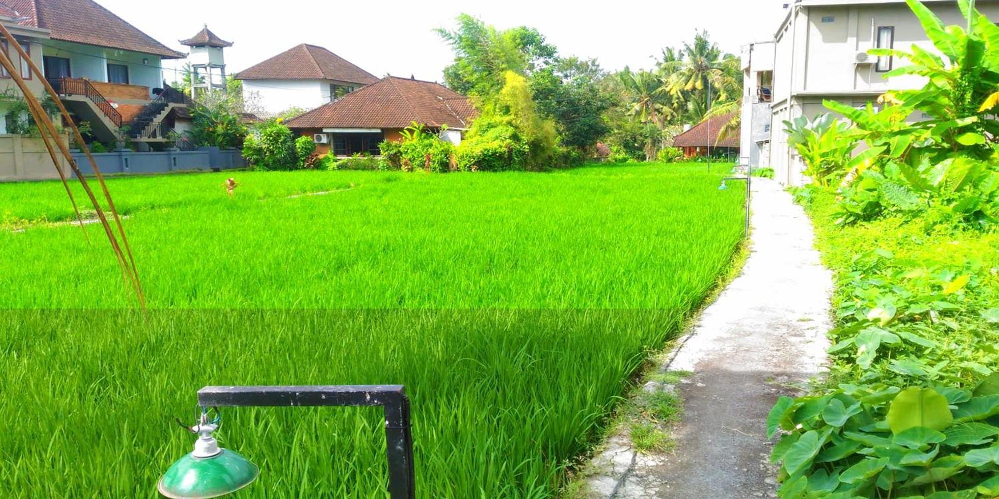 Keladi House Ubud ภายนอก รูปภาพ