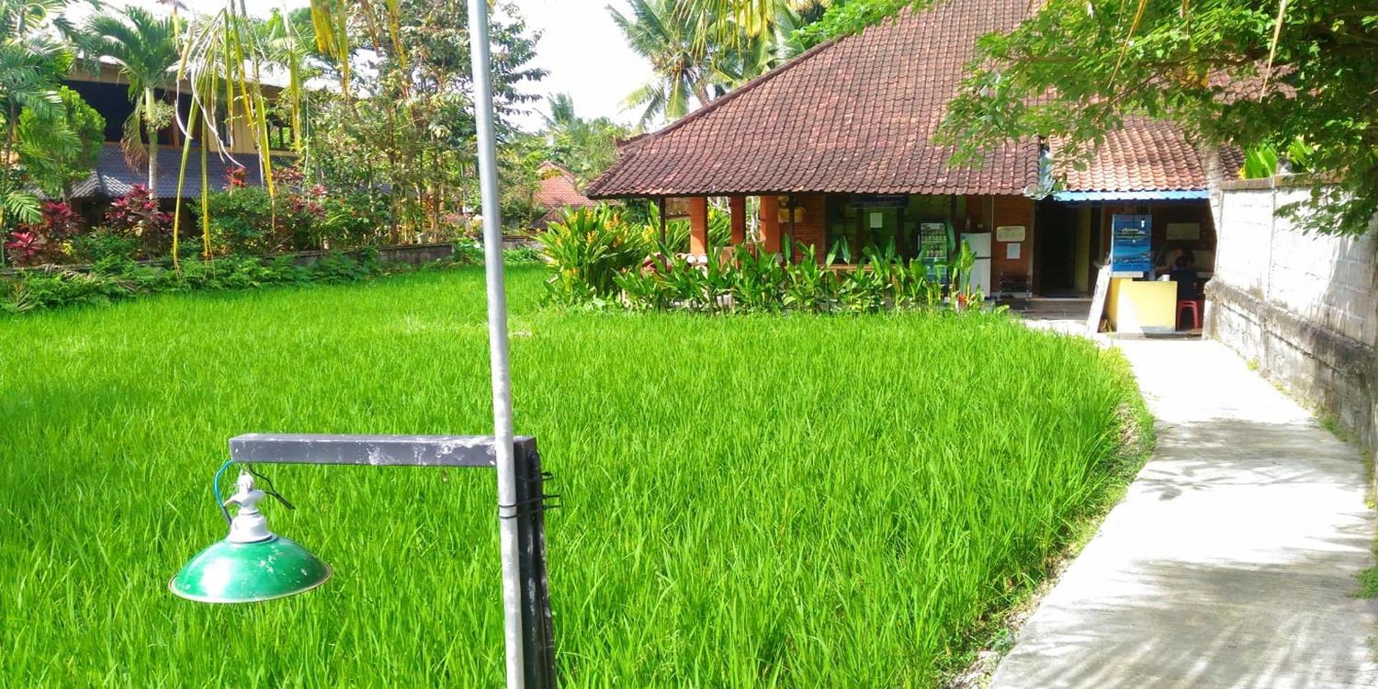 Keladi House Ubud ภายนอก รูปภาพ